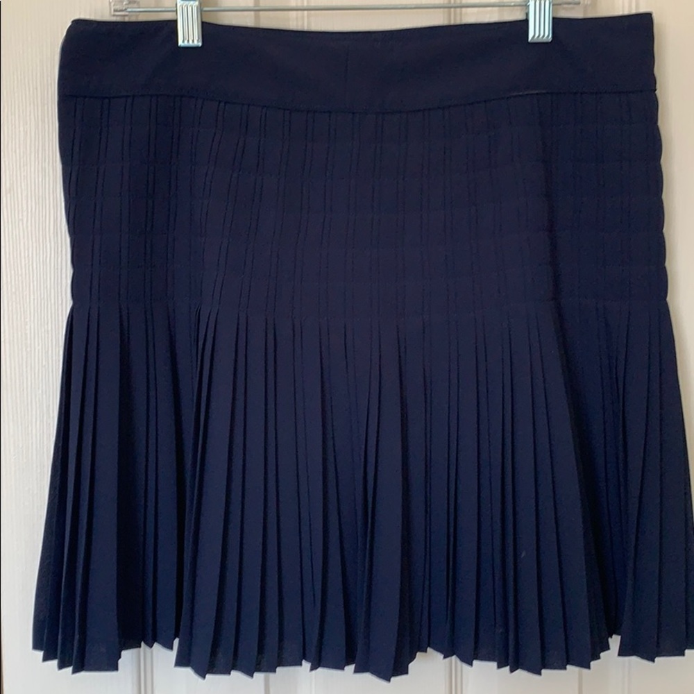 Navy Blue Pleated skirt